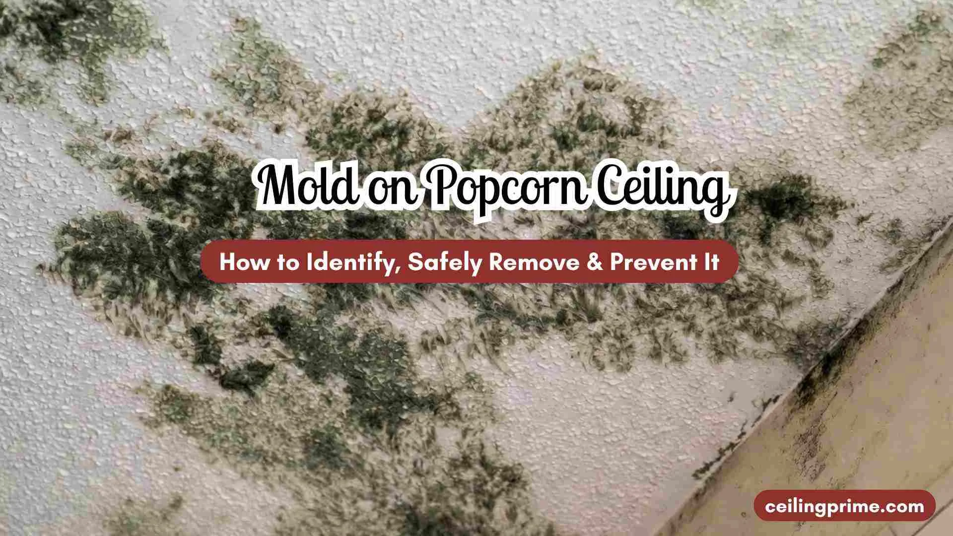 Mold on Popcorn Ceiling