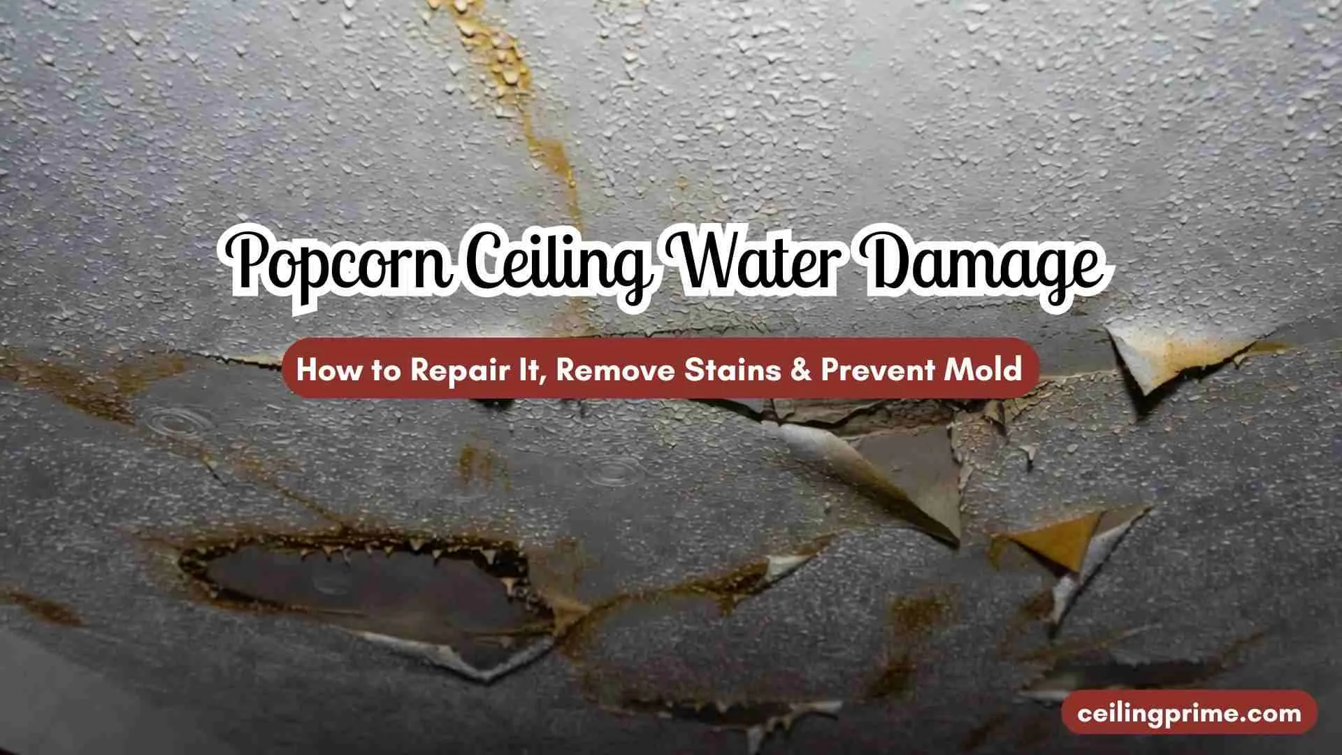 Popcorn Ceiling Water Damage