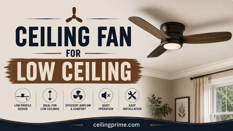 Ceiling Fan for Low Ceiling