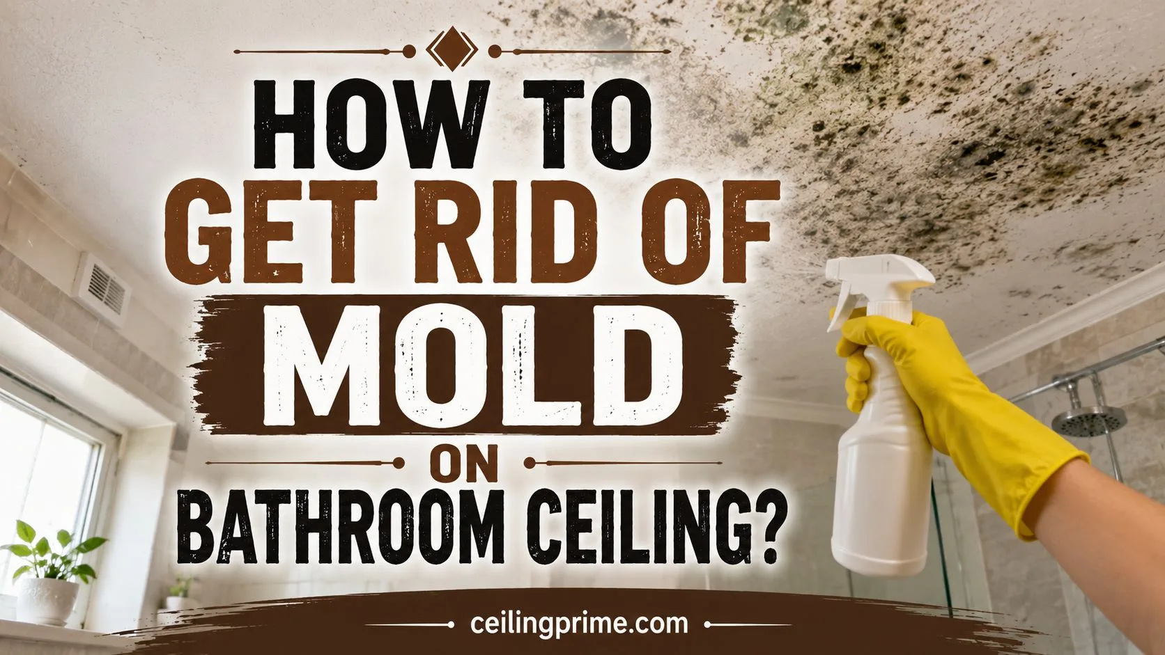 How to Get Rid of Mold on Bathroom Ceiling