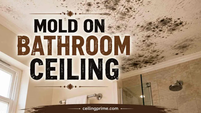 Mold on bathroom ceiling