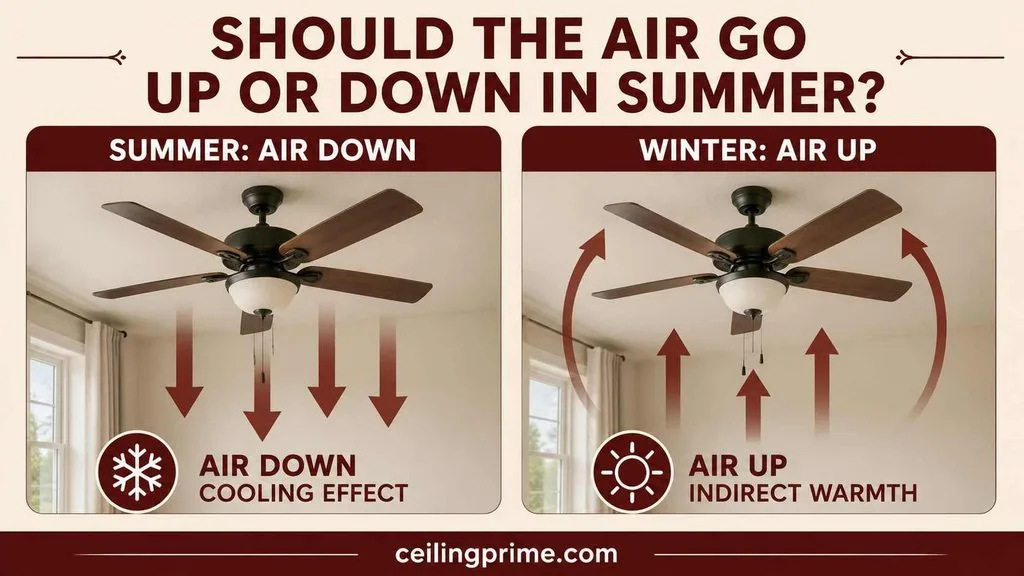 Learn how air flows down and which way should a ceiling fan turn in the summer months.