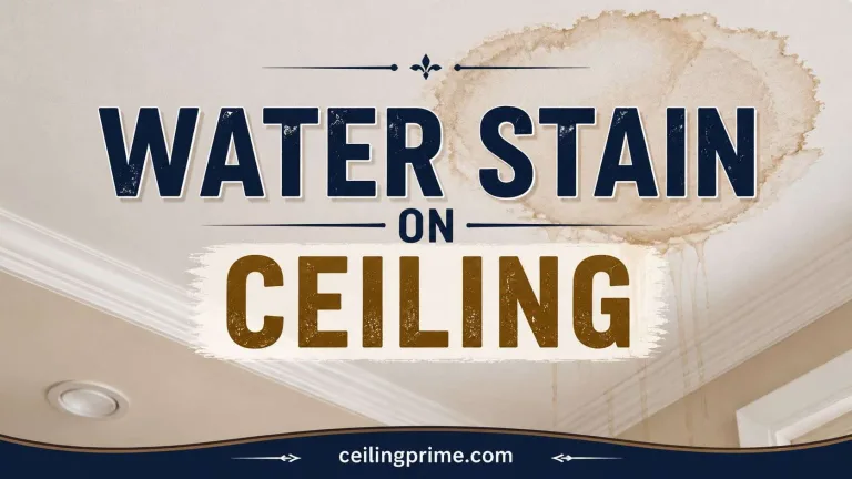 Water Stain on Ceiling