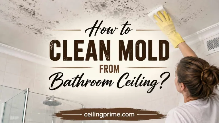 How to Clean Mold from Bathroom Ceiling