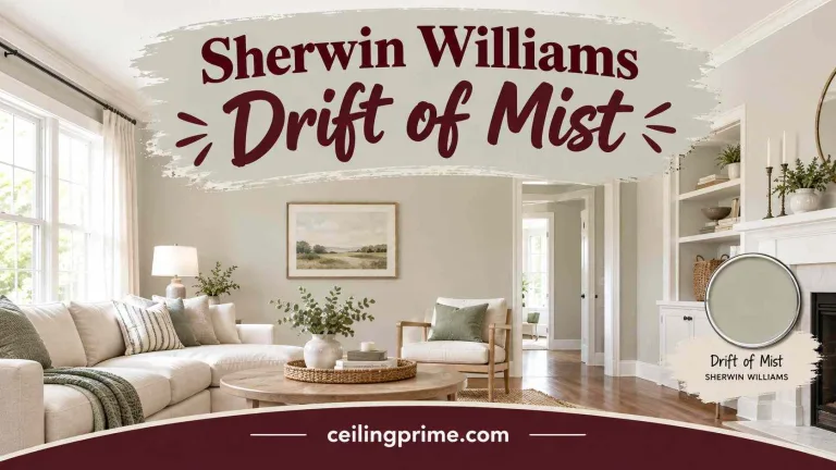 Sherwin Williams Drift of Mist
